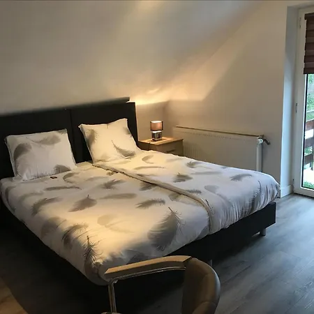 Gretel Von Birne ゲストハウス 3*