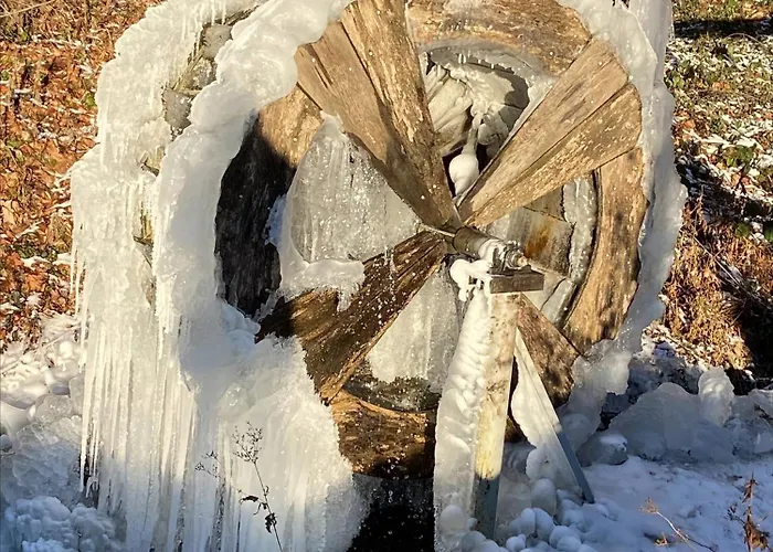 Gretel Von Birne ゲストハウス