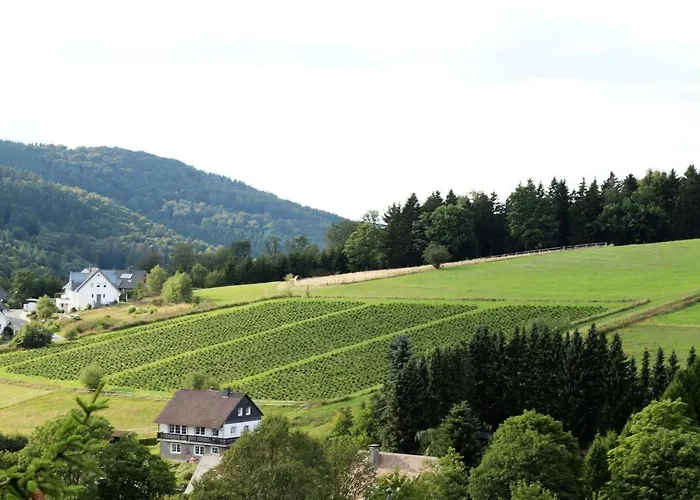 Pensión Gretel Von Birne 3*